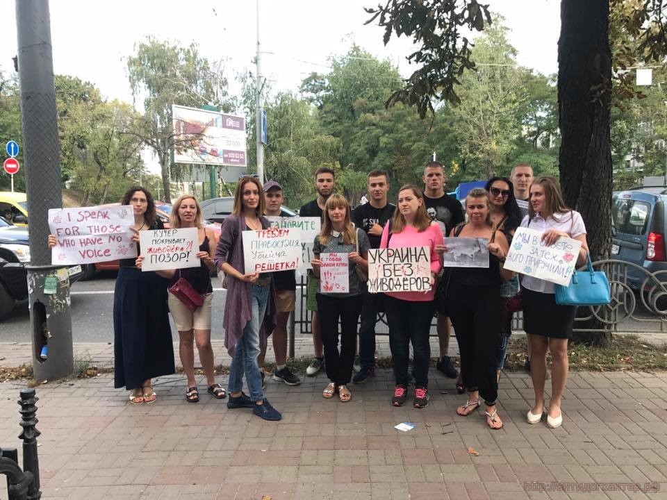 Всеукраинская акция против живодеров и привлечения Алексея Святогора к ответственности