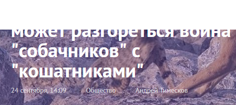 тимескова оболгал АнтиДогхантеров, которые с его слов, обещали убивать кошек, на зло догхантерам
