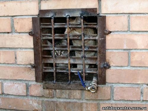 Коммунальщики замуровывают кошек в подвалах домов