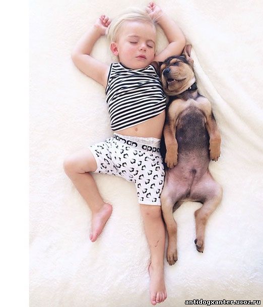 Уже на третий день щенок облюбовал кроватку малыша и во время дневного сна сладко заснул возле ребенка.