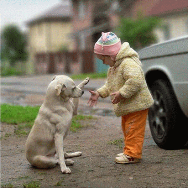 Ребенок с собакой лучшие друзья