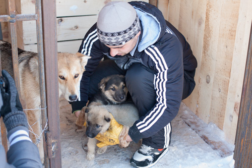 На Сахалине рядом с селом Христофоровка построили новый муниципальный бюджетный питомник для бездомных животных.