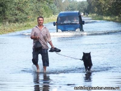 Спасатель собак из затопленных сел Приамурья или история о настоящем человеке - фото 4