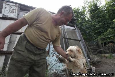 Спасатель собак из затопленных сел Приамурья или история о настоящем человеке - фото 2