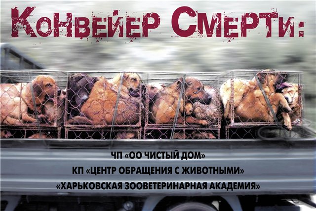 Бердянские чиновники за уничтожение бездомных животных заплатят 13 млн. гривен догхантерам их Харькова.